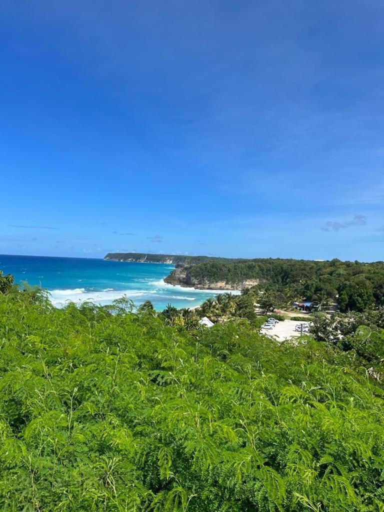 Anse-Bertrand La Kaz A Coyoky别墅 外观 照片